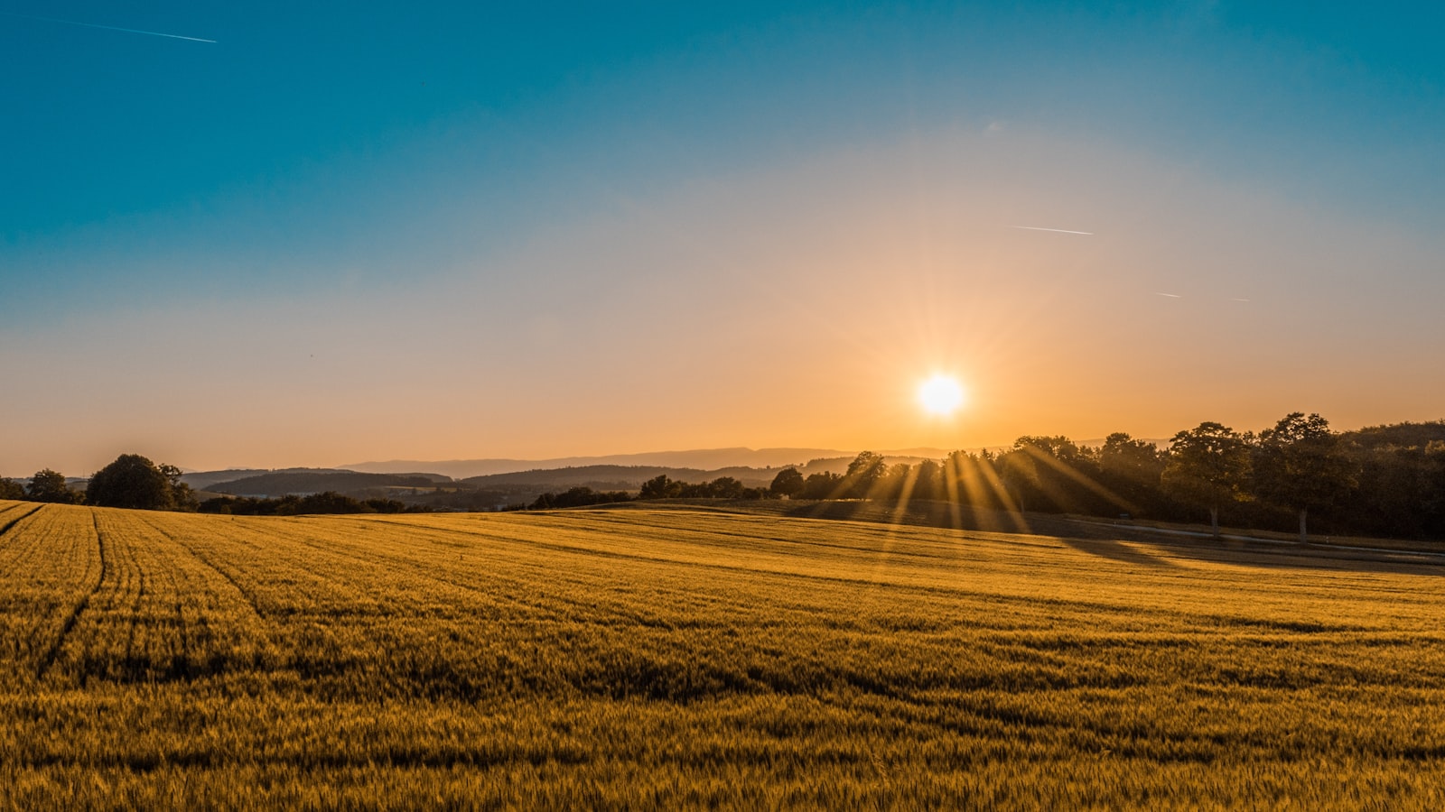 Consultoria Financeira para o Agronegócio